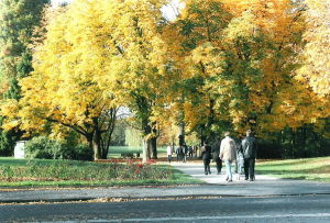 巴特霍姆堡 巴特霍姆堡