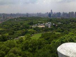 芝麻嶺公園 芝麻嶺公園