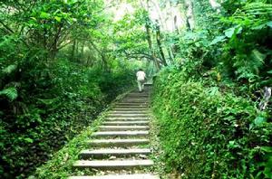 桂竹園[廣東省揭陽市景點]