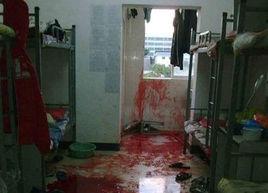 12·11雲南楚雄學生宿舍慘案 12·11雲南楚雄學生宿舍慘案