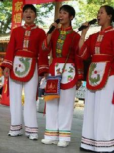 玉林山歌 玉林山歌