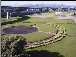 華江橋雁鴨公園 華江橋雁鴨公園