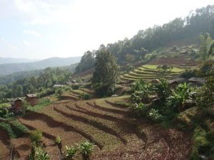 那海中山村 那海中山村