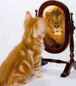 曝光效應 曝光效應