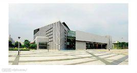 睢縣博物館 睢縣博物館