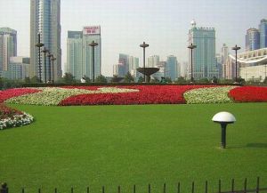 上海人民公園 上海人民公園