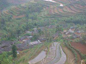 龍灘自然村 龍灘自然村