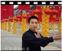 《陳式太極拳入門》 《陳式太極拳入門》