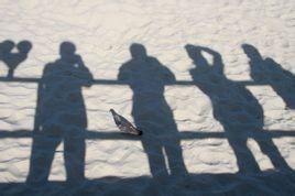 身正不怕影子斜 身正不怕影子斜