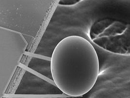 氧化鎂磁隧道結 氧化鎂磁隧道結