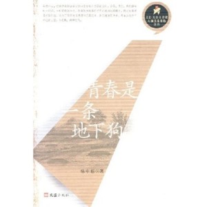 青春是一條地下狗 青春是一條地下狗