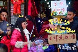 頭上長小雞 頭上長小雞