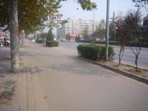 旭景琴園 旭景琴園