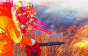 森林可燃物 森林可燃物