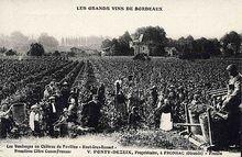 柏菲康酒莊老照片