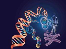 基因頻率 基因頻率