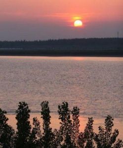 黃河展區生態園