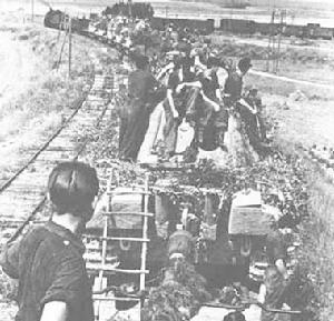 德國國防軍第7裝甲師