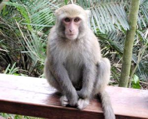 北京綠創環保集團