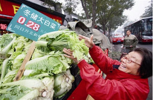 冬儲大白菜 冬儲大白菜