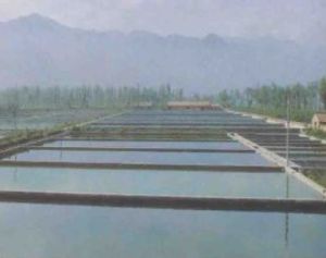 英巴格鄉 英巴格鄉