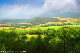 生態學[生物、生命系統與環境科學]
