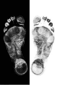 交替人格 交替人格