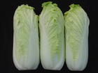 （圖）醋溜金邊白菜