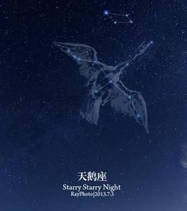 天鵝座 天鵝座