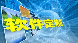 軟體定製 軟體定製