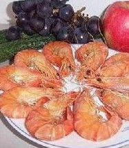 過敏反應 過敏反應