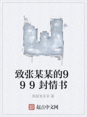 致張某某的999封情書