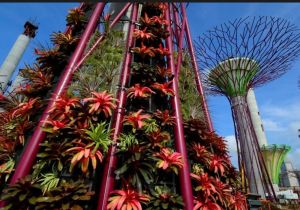 太陽能超級樹 太陽能超級樹