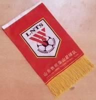 山東魯能泰山足球隊