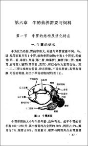 《豪豬養殖與利用技術》 《豪豬養殖與利用技術》