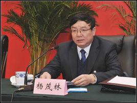 楊茂林[山西省煤炭工業廳原黨組成員、副廳長]