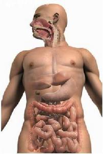 絞窄性疝氣 絞窄性疝氣