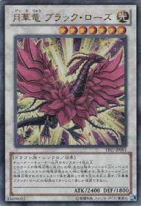 月華龍 黑薔薇