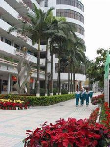 廣州市第四十一中學 廣州市第四十一中學
