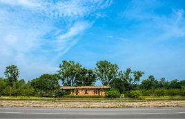 池州杏花村文化旅遊區 池州杏花村文化旅遊區