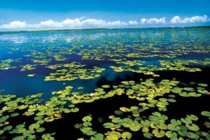 博湖縣阿洪口 博湖縣阿洪口