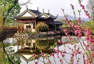 陸和村茶藝博物館