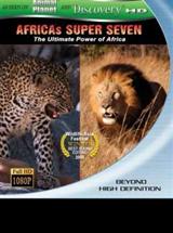 非洲七獸海報