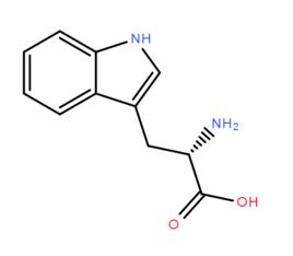 L-色氨酸 L-色氨酸