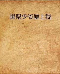 黑幫少爺愛上我