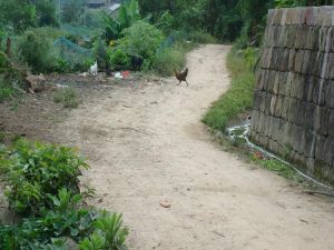 海田壩村 海田壩村