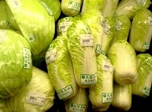 武隆高山白菜 武隆高山白菜