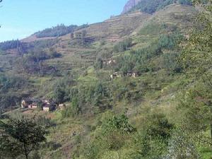 中溝村[河南洛寧縣趙村鄉下轄村]