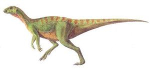 南方棱齒龍 南方棱齒龍