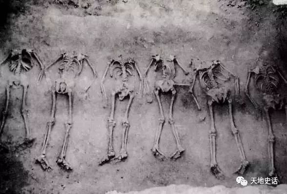 殷墟發現白人遺骨,西方文明徵服中國?考古專家解釋很霸氣!